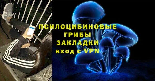 сатива Алексеевка