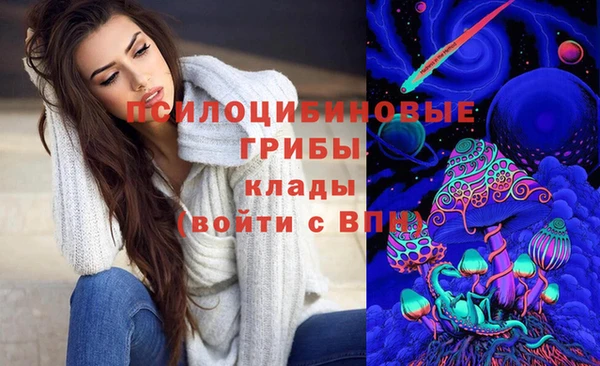 сатива Алексеевка